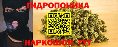 дживик Обнинск