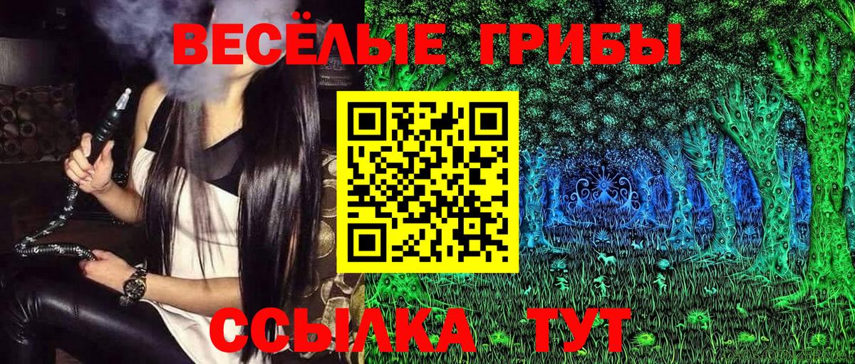 Галлюциногенные грибы мицелий Советская Гавань