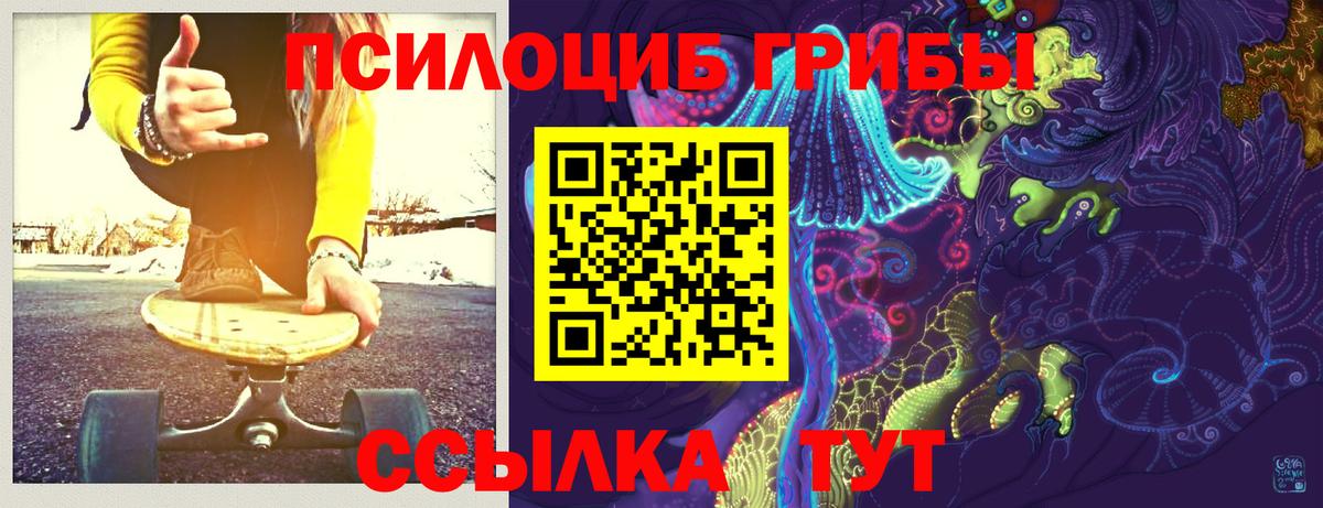 Галлюциногенные грибы GOLDEN TEACHER  Галлюциногенные грибы Cubensis  купить закладку  Вход с VPN  Советская Гавань 